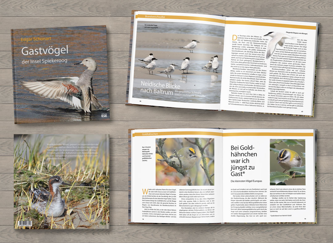 Layout Buch - Gastvögel