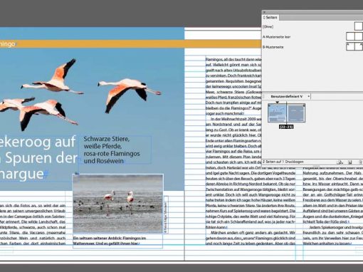 InDesign Dokument mit Doppelseite beginnen