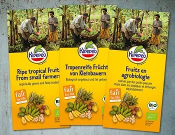 Kipepeo Flyer